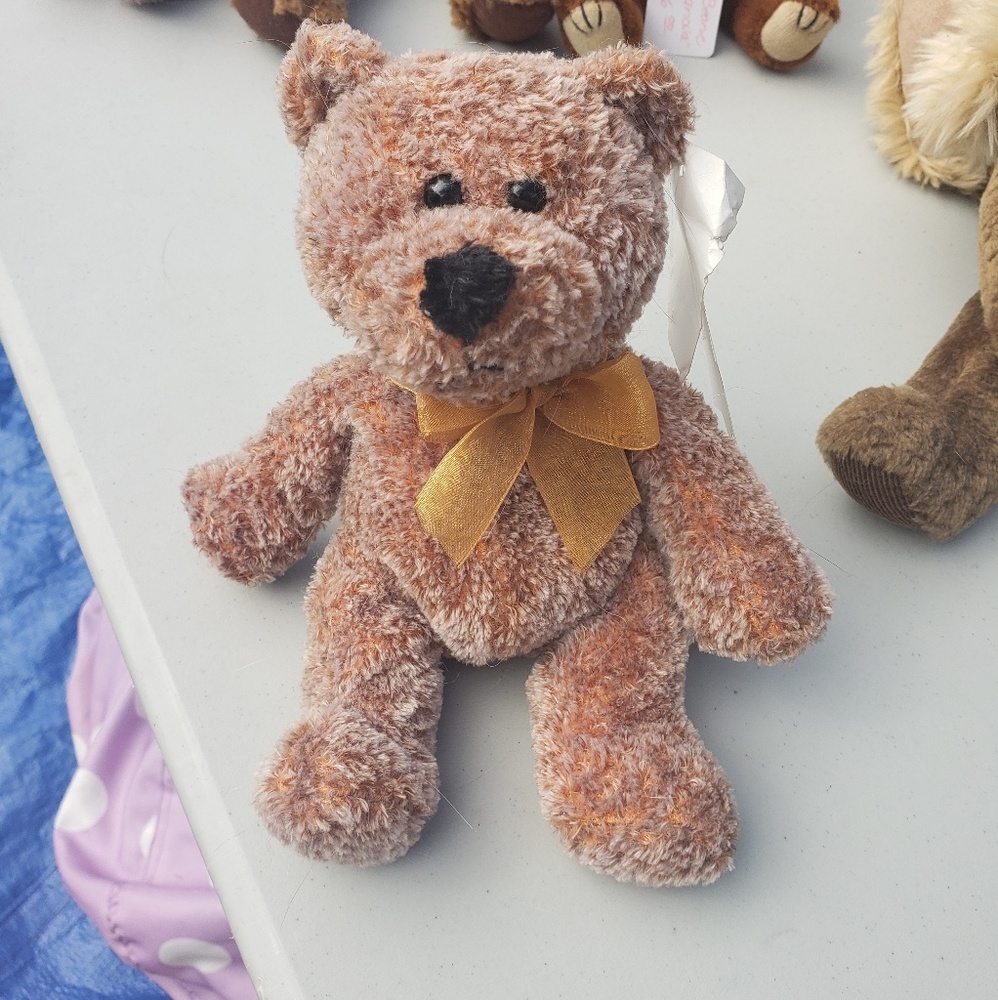 Teddy Bear